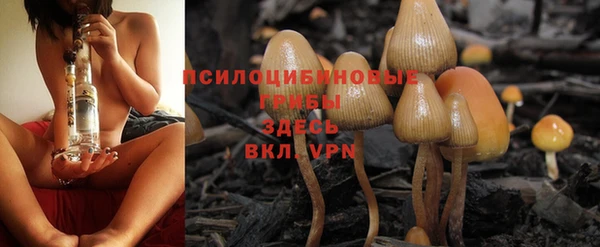 мескалин Алексин
