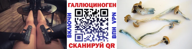 Галлюциногенные грибы Psilocybe  наркотики  Кандалакша 